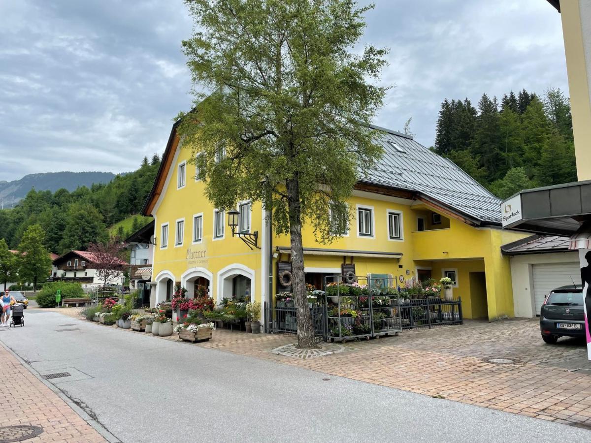 Haus Central Fieberbrunn By Alpine Host Helpers Extérieur photo